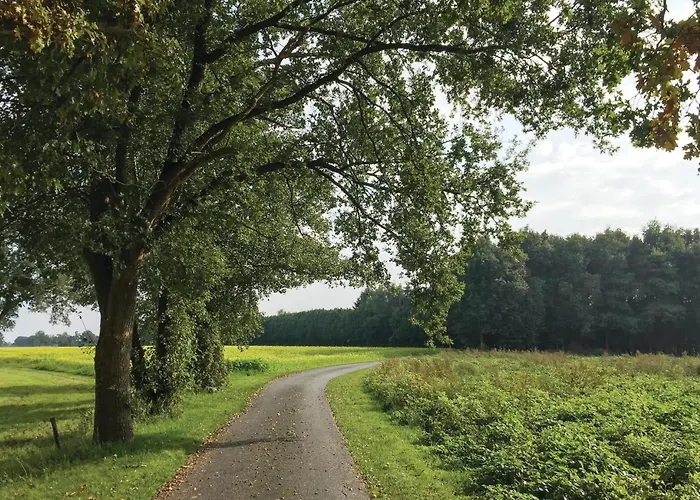 בית נופש In Neede With Sauna *