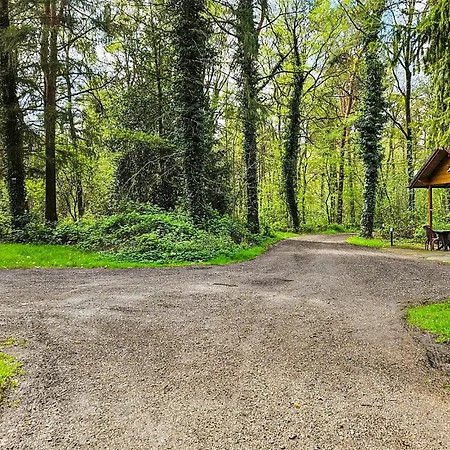 Semesterbostad In Neede With Sauna Gelselaar